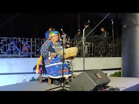 Mapuche musician Elisa Avendaño during film event Ficwallmapu 2022