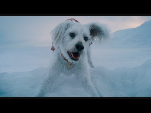 Krypto the Superdog - Powers and Fights from Superman