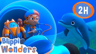 Blippi Meets A Dolphin 🐬 | Blippi Wonders | Moonbug Kids - Play and Learn