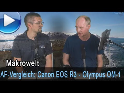 Autofokus-Test: Canon EOS R3 - Olympus OM-1, mit Martin Thomas