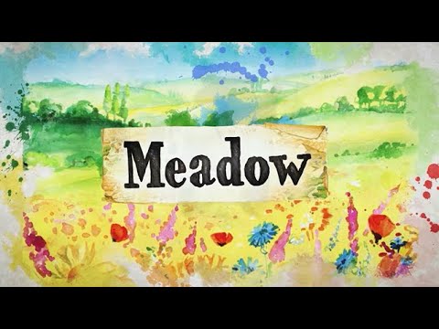 Meadow! Il trailer