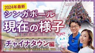 【シンガポール定番の観光地】今のチャイナタウンのリアルな様子！食事・雑貨・お土産が何でも揃う定番エリアを街ブラ【シンガポール旅行／観光】