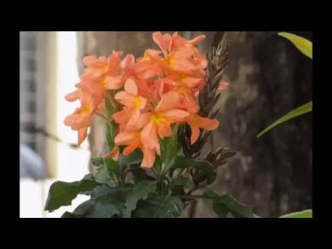 Nature Photography Day Special....