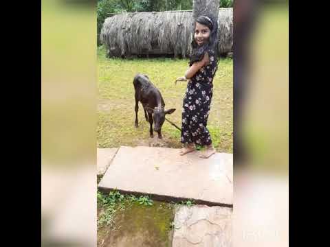 Puttani karu Ondu ❤️❤️