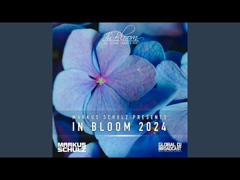 Don't Let Me Go (In Bloom 2024)