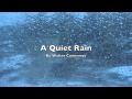 A Quiet Rain