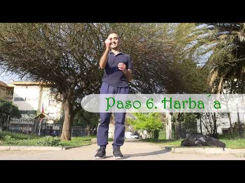 Tutorial 2 shammaliye variaciones y pasos más complejos