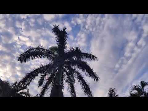 Timelapse Xiaomi MI9