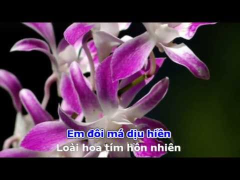 Ngọc Hoa Sheet - Nguyễn Cường