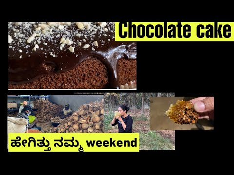 Chocolate cake🎂|| ಹೇಗಿತ್ತು ನಮ್ಮ weekend|| pure honey in our farm🍯