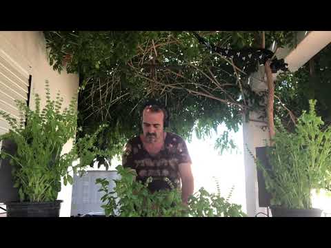 Dam Paul Short Baxaicò Set 02