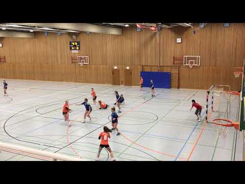 HSG Friedrichshafen-Fischbach - TSG Ailingen 24:38 (15:18)