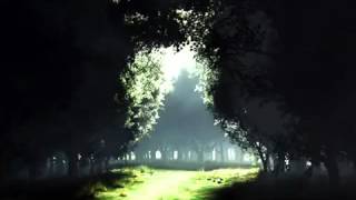 23 Sons of Korah Psalms 23