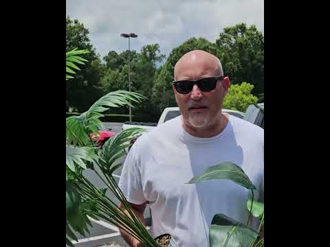 What Are You Waiting For?