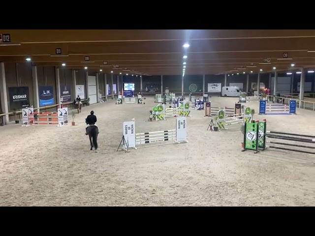 Cheval &agrave; vendre Cso/Dressage