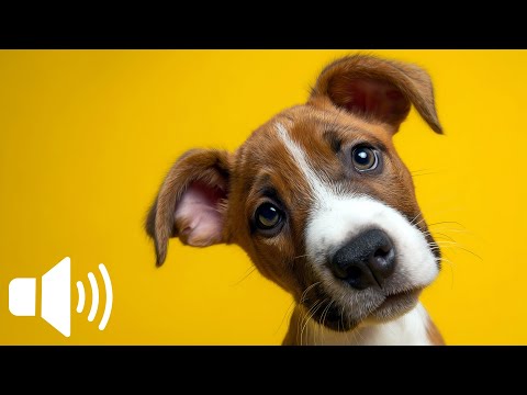 Instant Dog Fun - Your Dog Will LOVE These Sounds ❤️