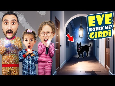 THERE'S A DOG BARKING IN OUR HOUSE!! BAHAR BANU ALYA ASEL MIRA!!