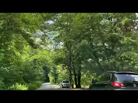 🇹🇩Drumul de vacanța Boga-Com.Pietroasa Jud; Bihor#peisaje #travel #românia #drumetie