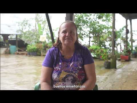 Los cafetales de Yomaira - #ProTieraCatatumbo