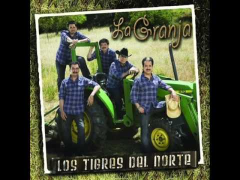 download lagu mp3 mp4 Los Tigres Del Norte La Vida Sin Futbol, download lagu Los Tigres Del Norte La Vida Sin Futbol gratis, unduh video klip Los Tigres Del Norte La Vida Sin Futbol