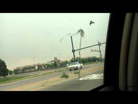 Cab from Downtown Fort Collins bank to Best western Kiva Inn