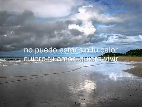 Llegaste Amor video