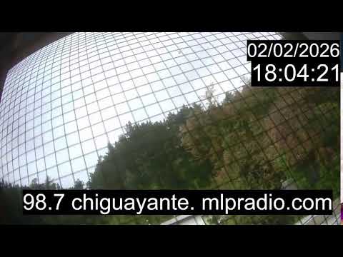Chiguayante Bio Bio Chile, en Vivo. Live Cam, Camara en vivo.