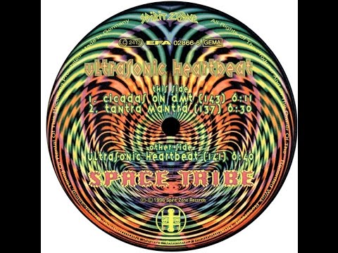 Space Tribe - Cicadas On DMT