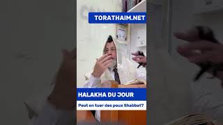 Peut-on tuer des poux pendant Shabbat ?