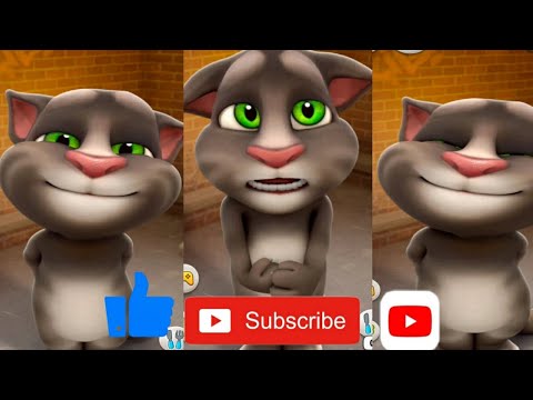Mycat masoom cat funny scenes cat videos#Mycat#viral #Shorts#youtube  #baby  @8xNadeem #yt