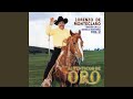 Mucho Te Quiero (Album Version)