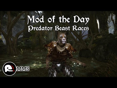 Morrowind Mod of the Day EP96 - Predator Beast Races Argonians & Khajiit Showcase