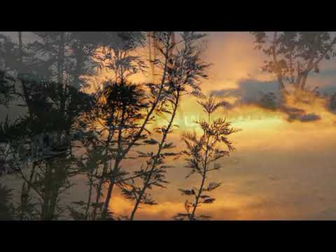 Fam Ngaite Min Hnem Rawh | Helen Zaithankungi Sailo | Lallianmawia Pachuau