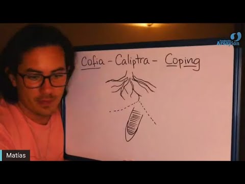 Day 349 COPING - Matias De Stefano - English Edit