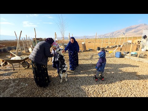 (#Taybah) What are the excuses of the ex-mother-in-law from her daughter-in-law?