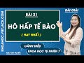 Khoa học tự nhiên 7 Cánh diều Bài 21: Hô hấp tế bào - Trang 101, 103 - Giải KHTN 7