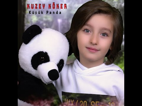 Kuzey Köker - Küçük Panda
