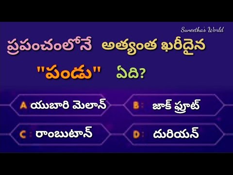 Interesting questions and answers in Telugu|Unknown facts|General Quiz|Interesting Quiz|Telugu Gk