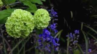 Music Video &#39;My Edward And I&#39; - Dario Marianelli