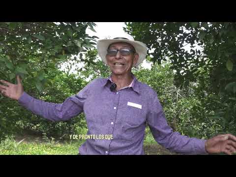 Jairo Luis Gomez - Agricultor de La Tebaida Quindío 