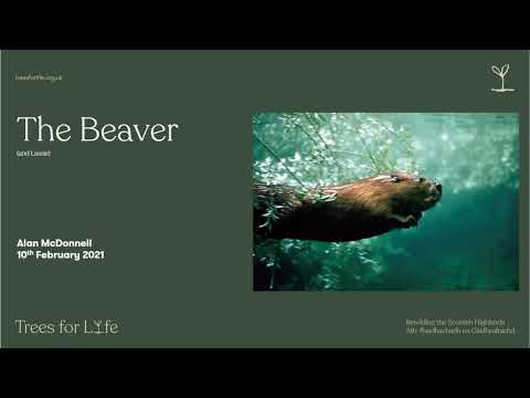 The Beaver: Ecosystem Engineer - webinar