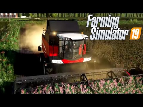 FS19 Risaie Del Nord #1 - SI COMINCIA IN QUESTA NUOVA MAPPA! - GAMEPLAY ITA