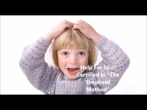 HEAD LICE REMOVAL IN INDIANAPOLIS!