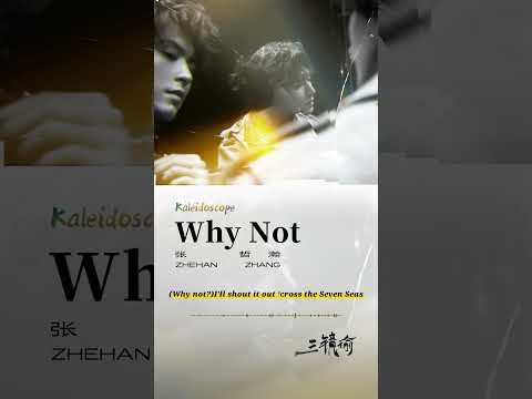#張哲瀚 Zhehan Zhang《Why Not》Official Lyric Video #shorts