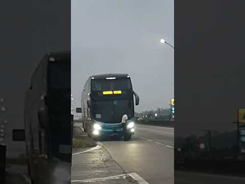 VEM  COM COM A ÁGUIA VITÓRIA  A SÃO PAULO #guararema #song #flashback #rodoviapresidentedutra