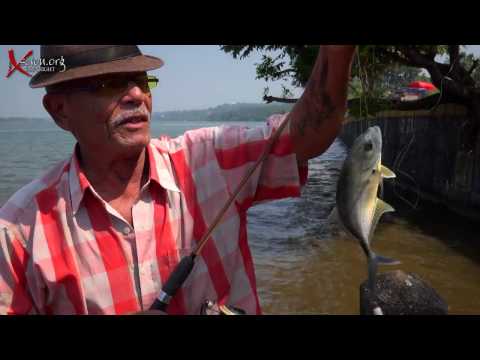 Three Days in Goa India 4k Part 1