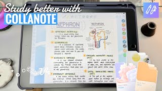 CollaNote 📘 Study Tools to Help You Study Better!✨ Best Note App for Students? (iPad 9) ❤︎ Emmy Lou