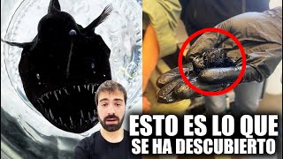 Qué ha pasado con EL PEZ DIABLO NEGRO que ACABAN de DESCUBRIR?