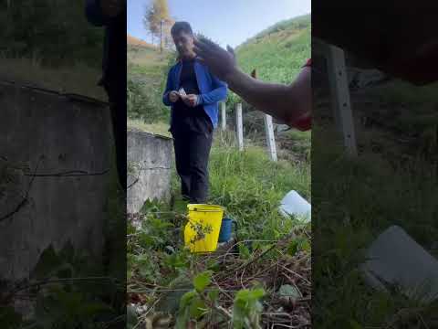 Un proyecto sólido comienza mucho antes de conseguir financiamiento: comienza en territorio. La inve