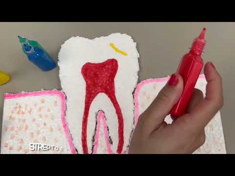 Trabalho Discente Efetivo - Microbiologia Oral (Odontologia PUCRS)